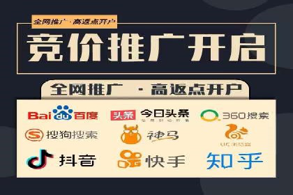 SEM推广实战：成功案例剖析